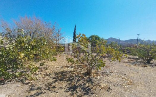 Αίγινα, οικόπεδο 1898 τμ, 190000€