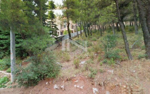 Διόνυσος, οικόπεδο 800 τμ