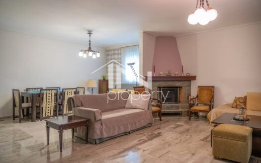 Αγία Παρασκευή διαμέρισμα 123 τμ